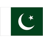 Flag of Pakistan thumb