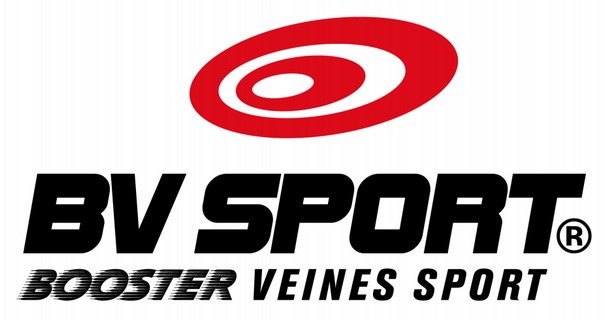 Bv Sport Logo PNG Image bv sport logo