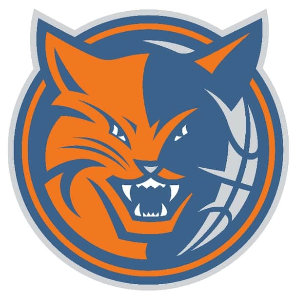 Charlotte Bobcats Logo PNG Image charlotte bobcats logo
