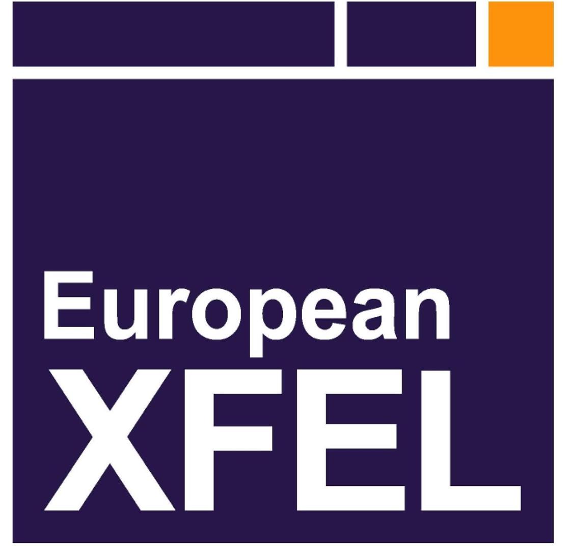 xfel logo