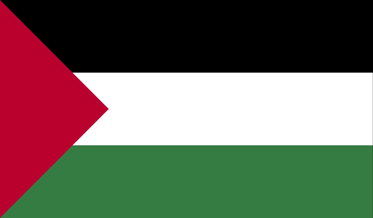 Palestine Flag PNG Image palestine flag