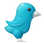 plastic twitter bird 145x145