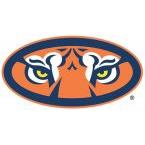 Auburn University Tigers3 145x76