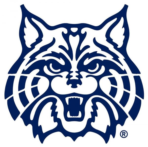University of Arizona Logo3 600x596