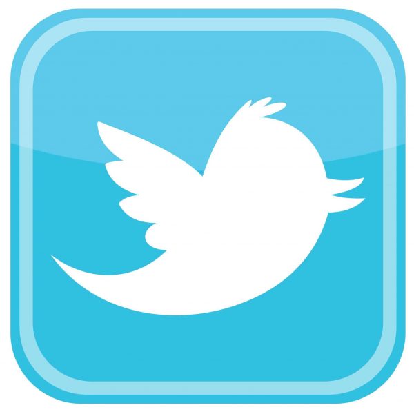 twitter bird icon 600x600